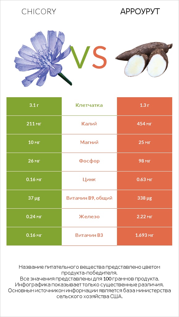 Chicory vs Арроурут infographic