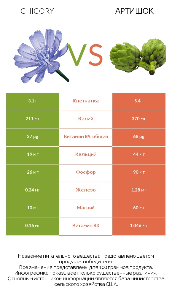 Chicory vs Артишок infographic