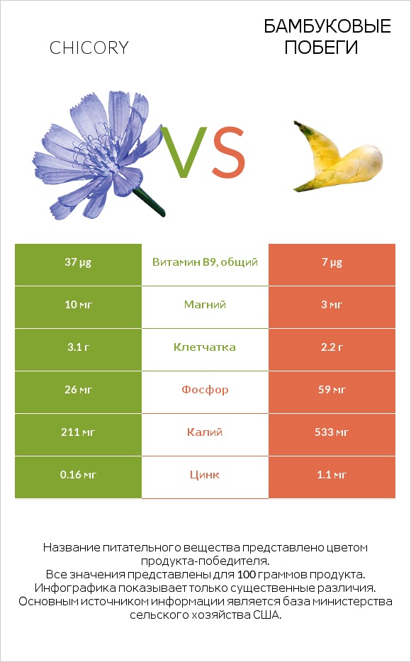 Chicory vs Бамбуковые побеги infographic