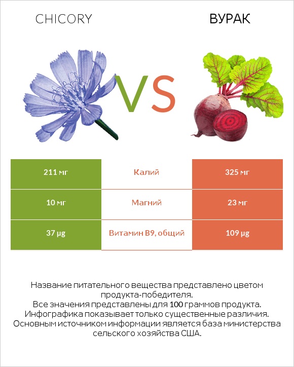 Chicory vs Вурак infographic