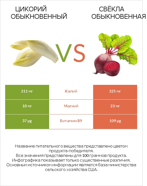 Chicory vs Вурак infographic