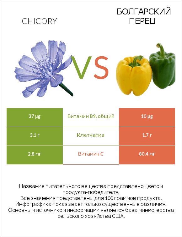 Chicory vs Болгарский перец infographic