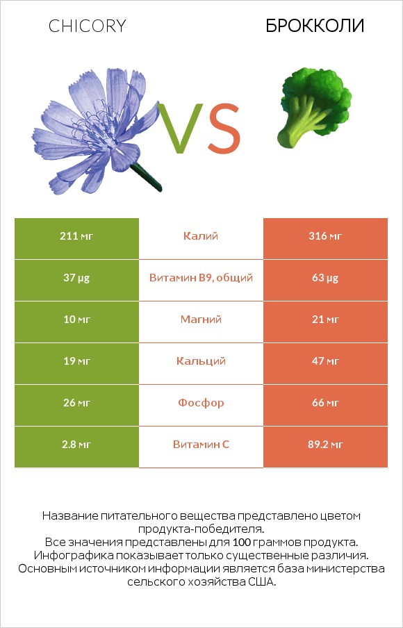 Chicory vs Брокколи infographic