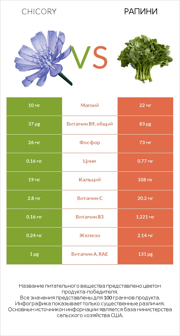 Chicory vs Рапини infographic