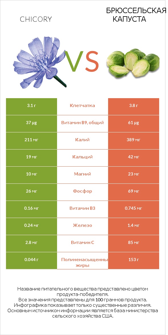 Chicory vs Брюссельская капуста infographic