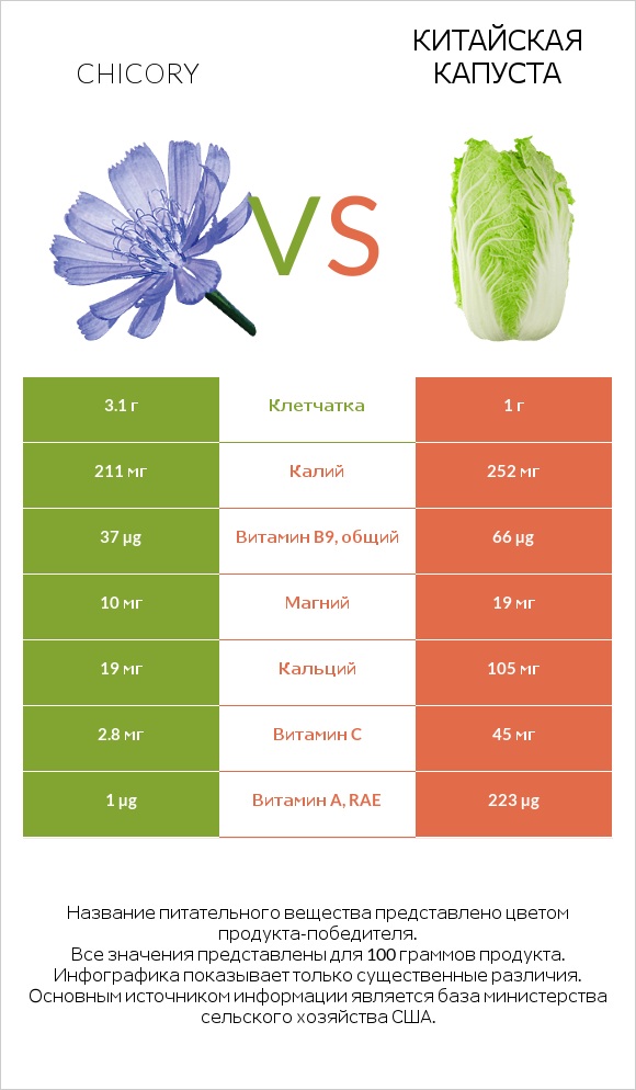 Chicory vs Китайская капуста infographic