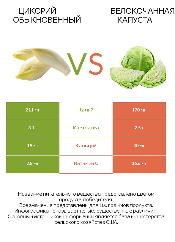 Цикорий обыкновенный vs Белокочанная капуста infographic