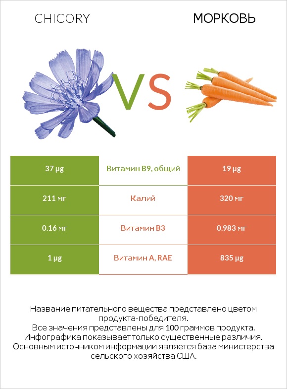 Chicory vs Морковь infographic