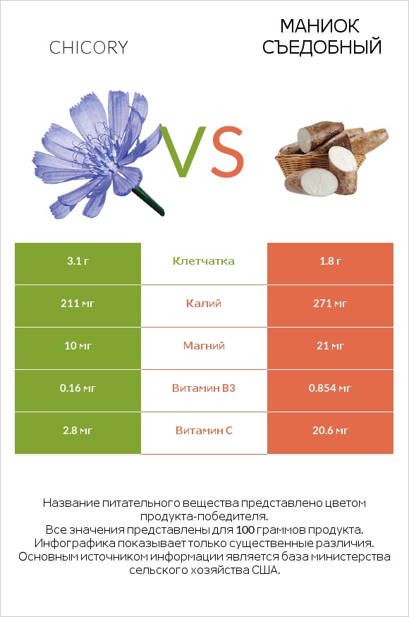 Chicory vs Маниок съедобный infographic