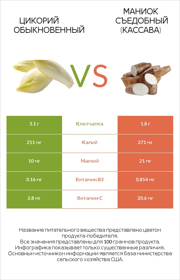 Цикорий обыкновенный vs Маниок съедобный (кассава) infographic