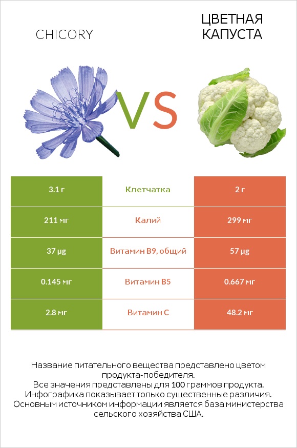 Chicory vs Цветная капуста infographic