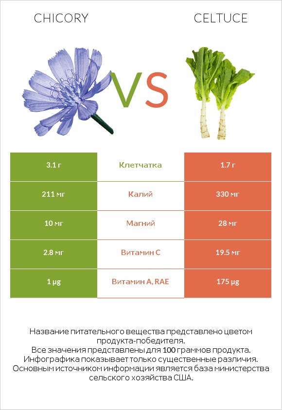 Chicory vs Celtuce infographic