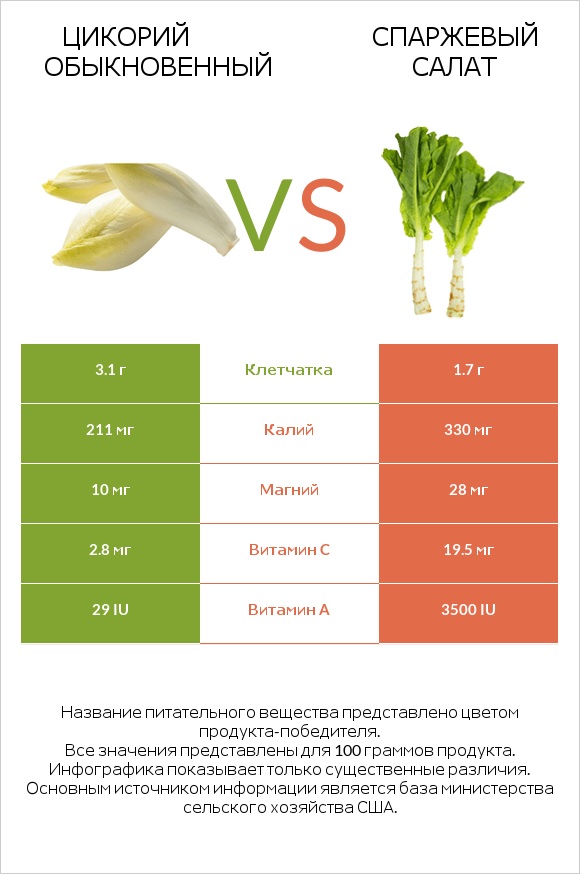 Chicory vs Celtuce infographic