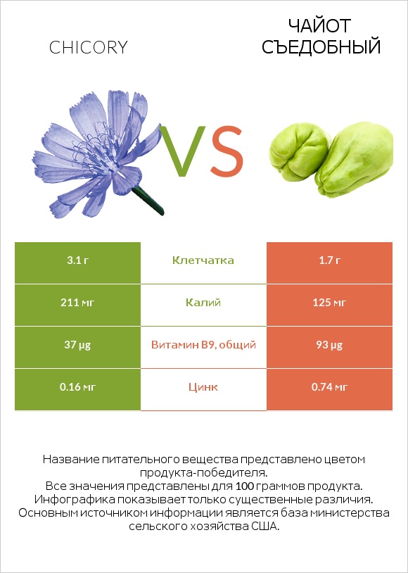 Chicory vs Чайот съедобный infographic
