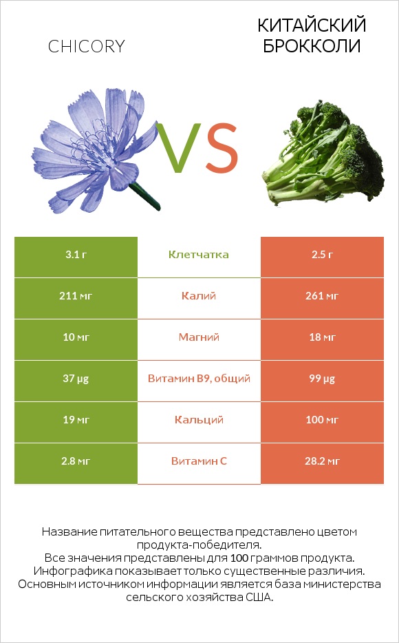 Chicory vs Китайский брокколи infographic