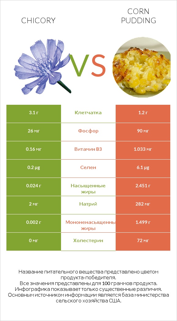 Chicory vs Corn pudding infographic
