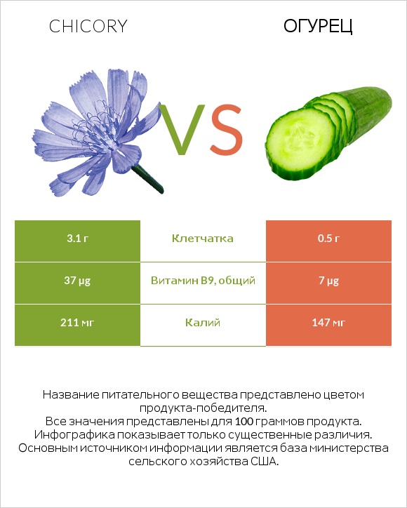 Chicory vs Огурец infographic