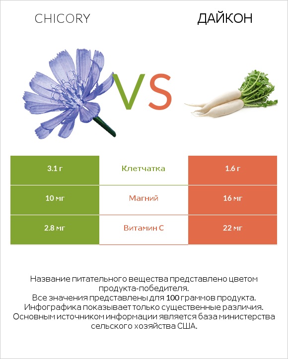 Chicory vs Дайкон infographic