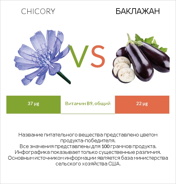 Chicory vs Баклажан infographic