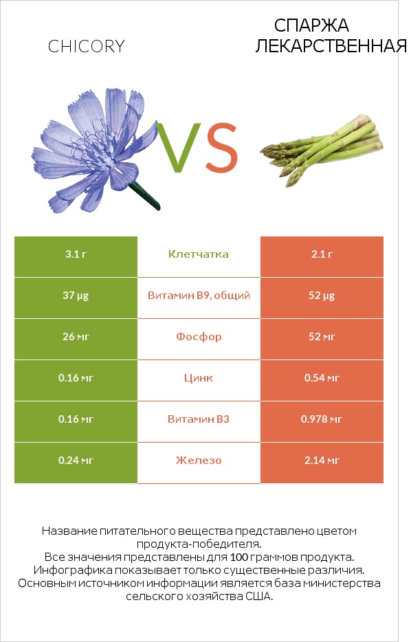 Chicory vs Спаржа лекарственная infographic