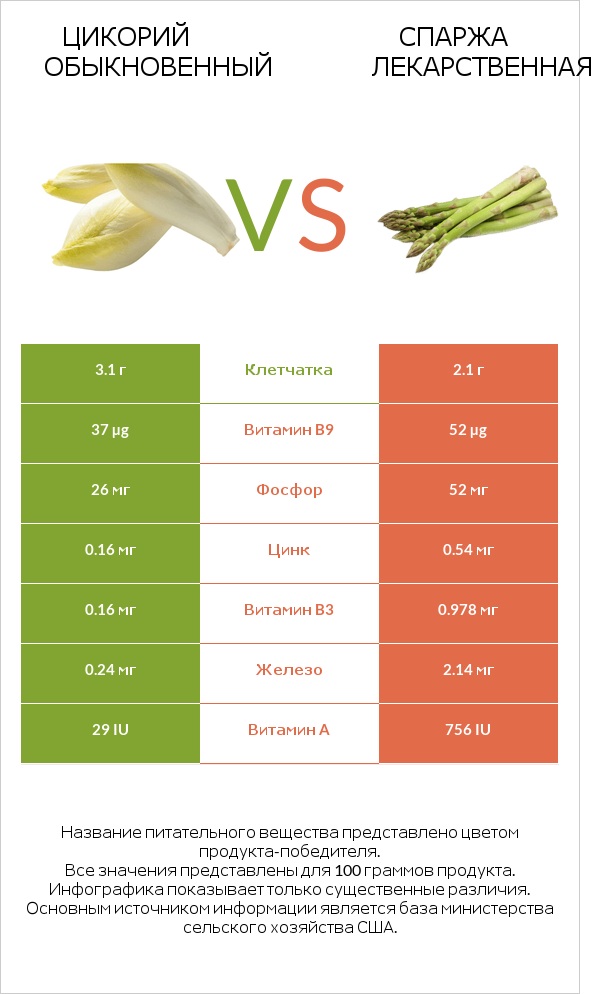 Цикорий обыкновенный vs Спаржа лекарственная infographic