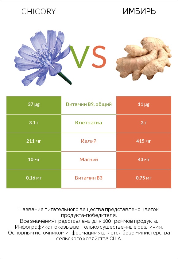 Chicory vs Имбирь infographic