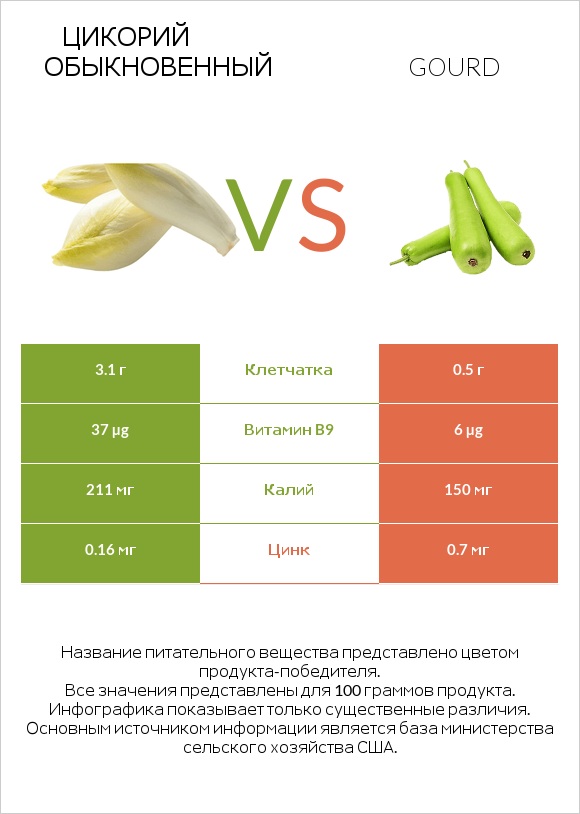 Цикорий обыкновенный vs Gourd infographic