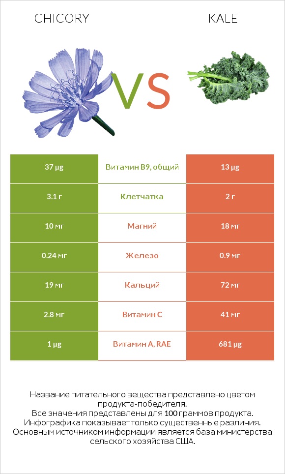 Chicory vs Kale infographic