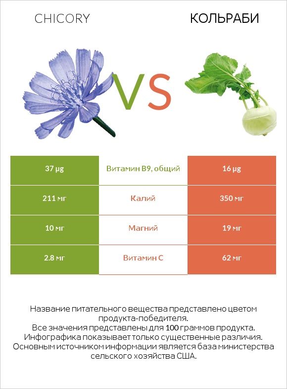 Chicory vs Кольраби infographic