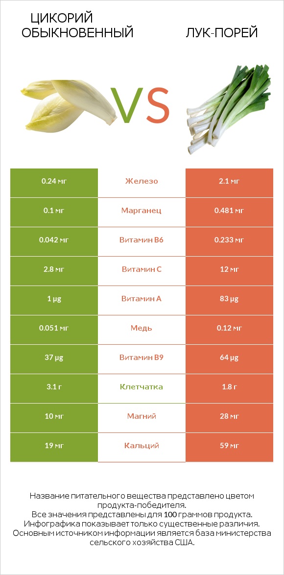 Цикорий обыкновенный vs Лук-порей infographic