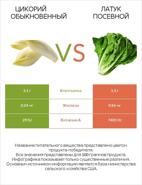 Цикорий обыкновенный vs Латук посевной infographic