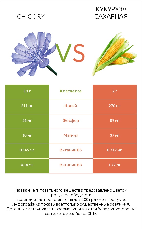Chicory vs Кукуруза сахарная infographic