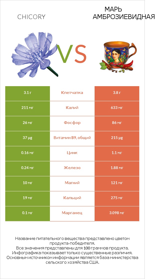 Chicory vs Марь амброзиевидная infographic