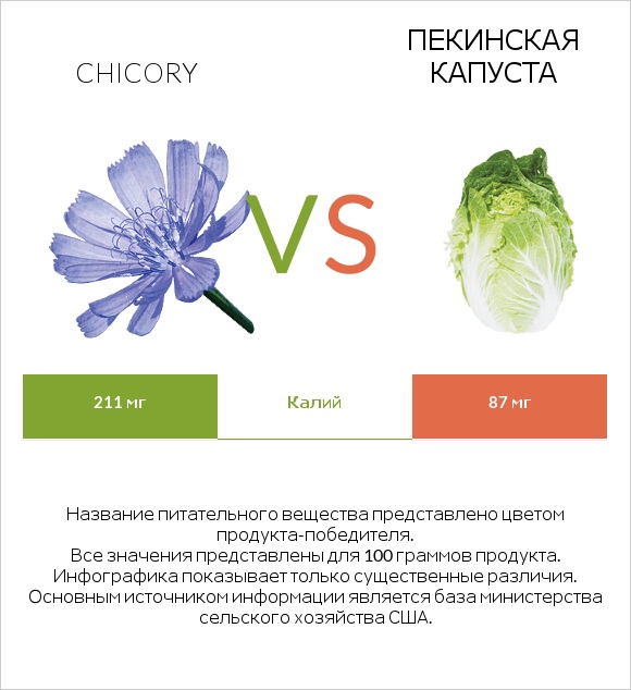 Chicory vs Пекинская капуста infographic
