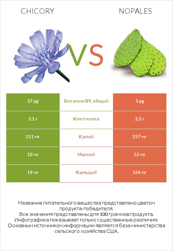 Chicory vs Nopales infographic