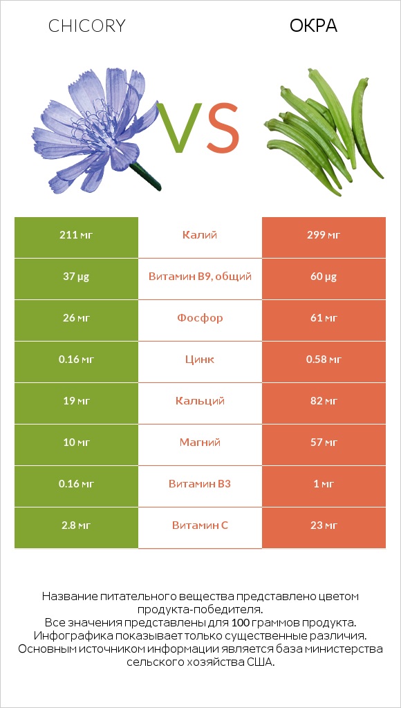 Chicory vs Окра infographic