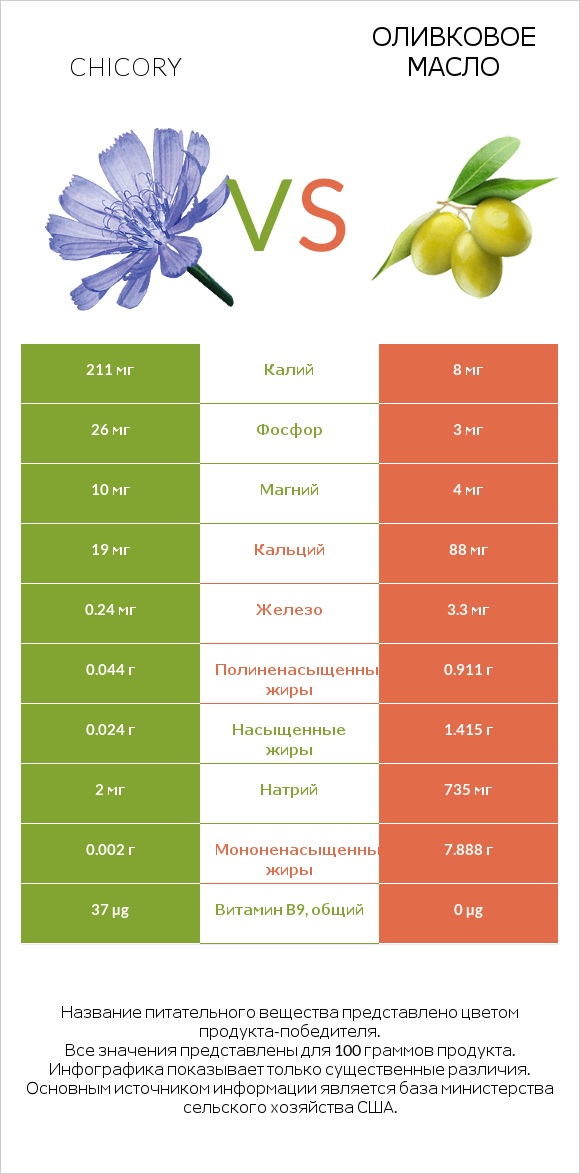 Chicory vs Оливковое масло infographic