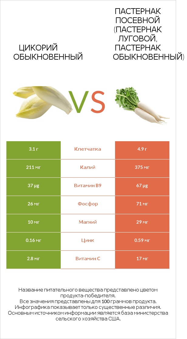 Chicory vs Пастернак infographic