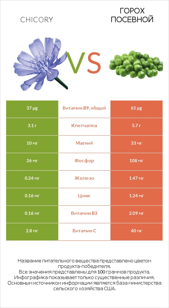 Chicory vs Горох посевной infographic