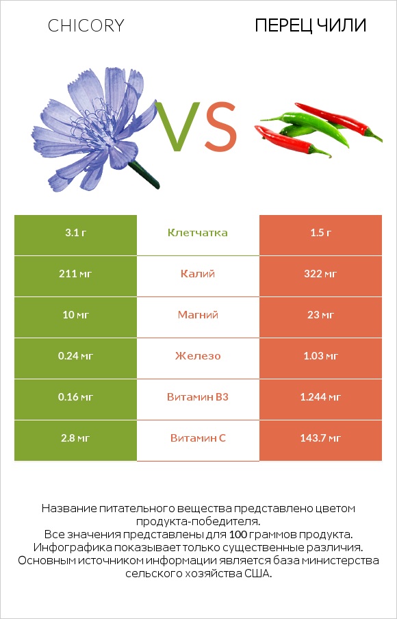 Chicory vs Перец чили infographic