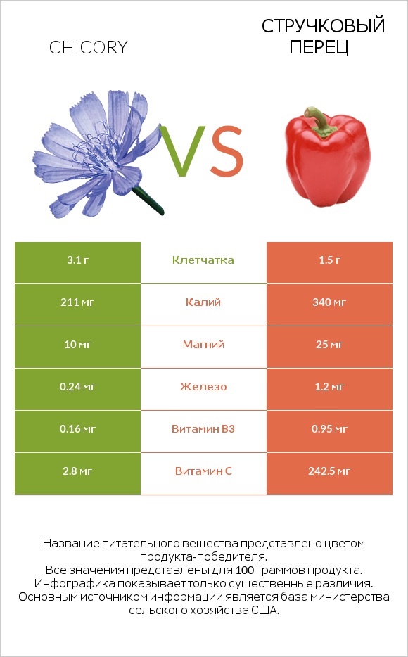 Chicory vs Стручковый перец infographic