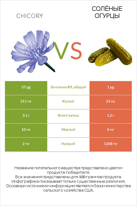 Chicory vs Солёные огурцы infographic