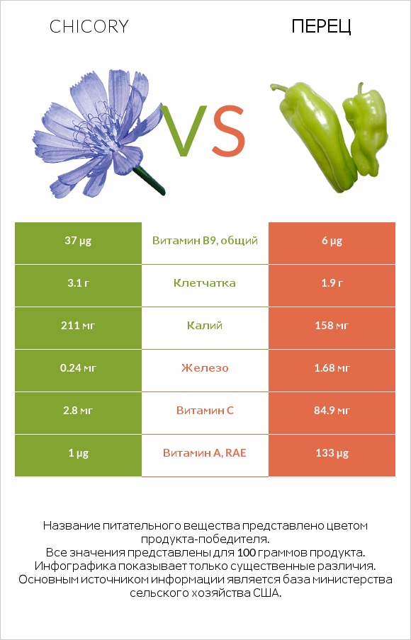 Chicory vs Перец infographic