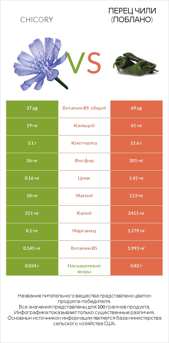 Chicory vs Перец чили (поблано)  infographic