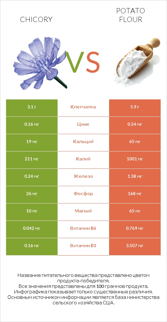 Chicory vs Potato flour infographic