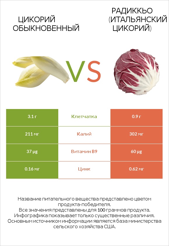 Цикорий обыкновенный vs Радиккьо (итальянский цикорий) infographic