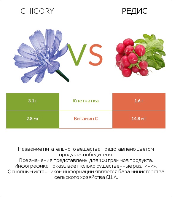 Chicory vs Редис infographic