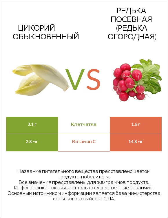 Цикорий обыкновенный vs Редька посевная (Редька огородная) infographic