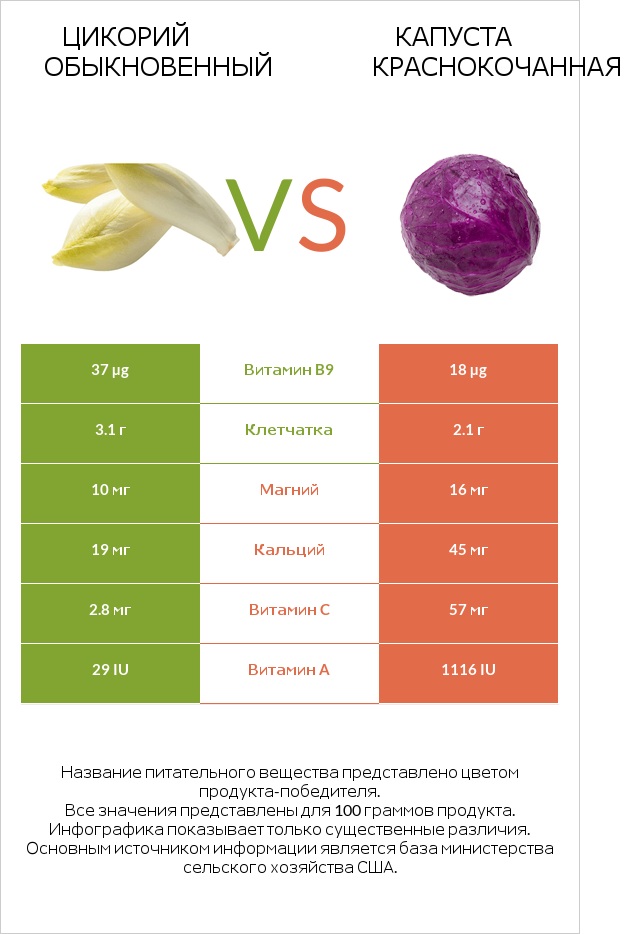 Цикорий обыкновенный vs Капуста краснокочанная infographic