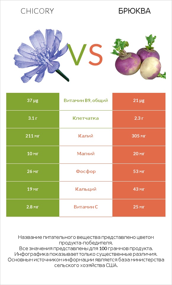 Chicory vs Брюква infographic